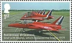 Gnats with Hawks, 1979