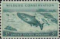 Chinook Salmon (Oncorhynchus tshawytscha)