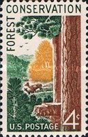 Forest Conservation