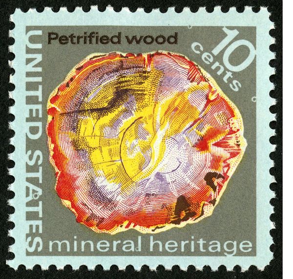 Petrified Wood