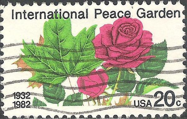 Maple Leaf and Rose