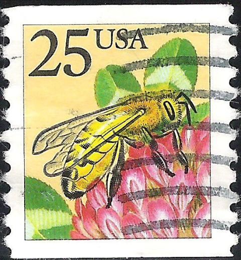 Honey Bee (Apis mellifera)