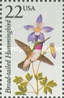 Broad-tailed Hummingbird (Selasphorus platycercus)