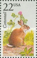 Eastern Cottontail (Sylvilagus floridanus)