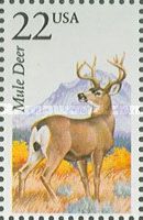 Mule Deer (Odocoileus hemionus)