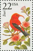 I'iwi (Drepanis coccinea)