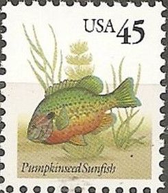 Pumpkinseed Sunfish (Lepomis gibbosus)