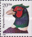 Ring-necked Pheasant (Phasianus colchicus torquatus)