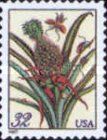 Merian Print: Pineapple - Small