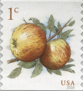 1-Cent Apples