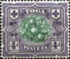 Breadfruit