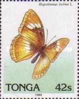 Great Eggfly (Hypolimnas bolina)