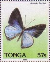 Dark Cerulean (Jamides bochus)