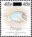 Powder-blue Surgeonfish (Acanthurus leucosternon)