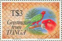 Eua parrots (Prosopeia tabuensis)