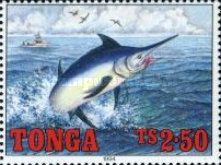 Pacific blue Marlin (Makaira nigrans)