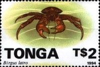 Coconut Crab (Birgus latro)