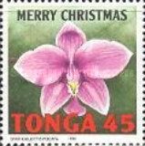 Spathoglottis plicata