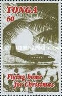 Plane arriving home