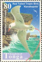 Red-tailed Tropicbird (Phaethon rubricauda)