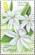 Gardenia taitensis