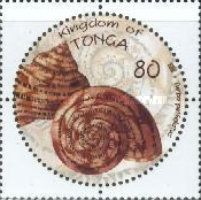 Tapestry Turban (Turbo petholatus)