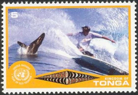 Humpback Whale (Megaptera novaeangliae), Surfer