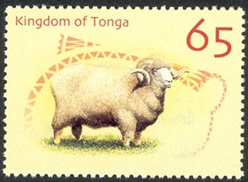 Domestic Sheep (Ovis ammon aries)