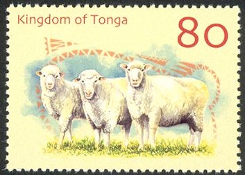 Domestic Sheep (Ovis ammon aries)