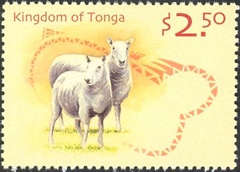 Domestic Sheep (Ovis ammon aries)