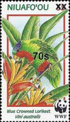 Blue-crowned Lorikeet (Vini australis)