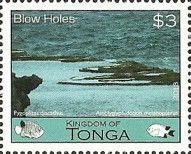 Blow Holes