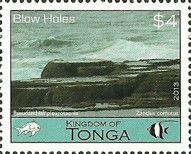 Blow Holes
