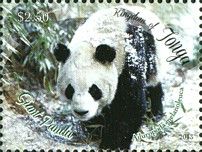 Giant Panda (Ailuropoda melanoleuca)
