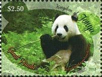 Giant Panda (Ailuropoda melanoleuca)