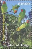 Blue-crowned Lorikeet (Vini australis)