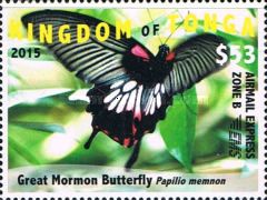 Great Mormon Butterfly (Papilio memnon)