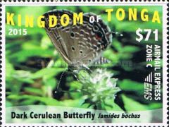 Dark Cerulean Butterfly (Jamides bochus)