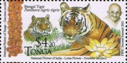 Bengal Tiger (Panthera tigris tigris)