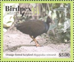 Orange-footed Scrubfowl (Megapodius reinwardt)