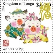Year of the Pig 2019