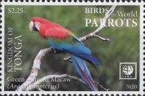 Green-winged Macaw (Ara chloropterus)