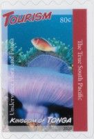 Underwater Flora and Fauna