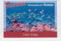 Coral Reef and Fish