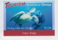 Diving with Sea Turtles