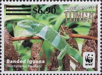 Banded Iguana (Brachylophus fasciatus) Surcharged
