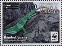 Banded Iguana (Brachylophus fasciatus) Surcharged