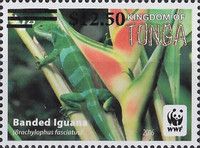 Banded Iguana (Brachylophus fasciatus) Surcharged