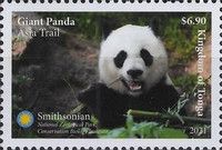 Giant Panda (Ailuropoda melanoleuca)