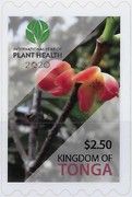 International Year of Plant Health